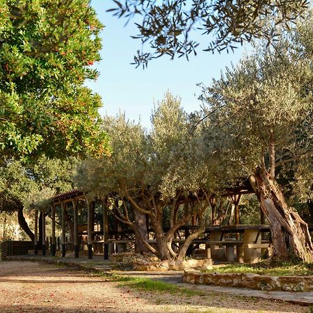 Camping Alquézar Εξωτερικό φωτογραφία
