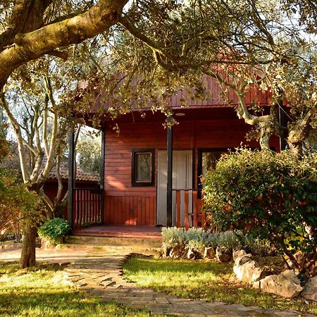 Camping Alquézar Εξωτερικό φωτογραφία