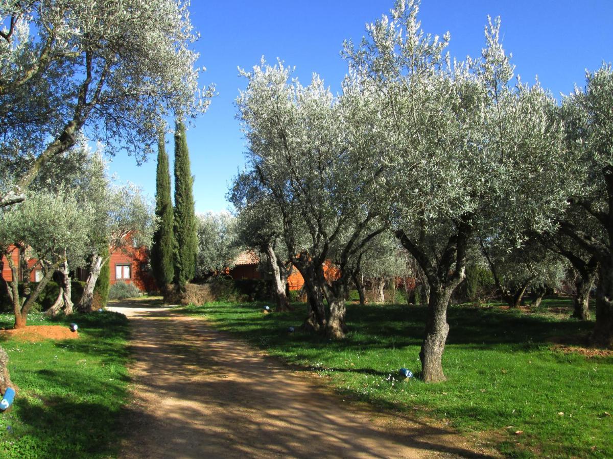 Camping Alquézar Εξωτερικό φωτογραφία