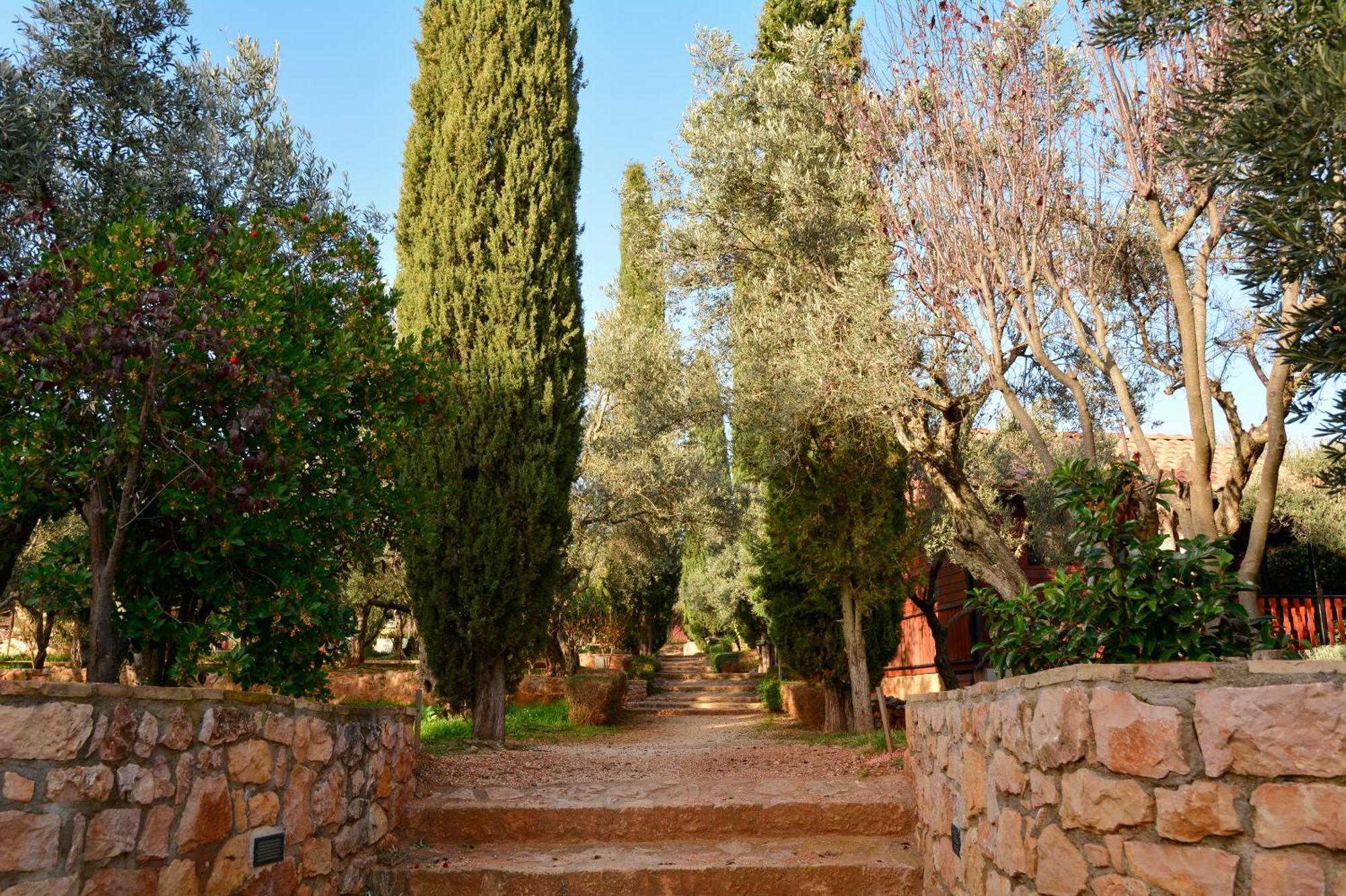 Camping Alquézar Εξωτερικό φωτογραφία