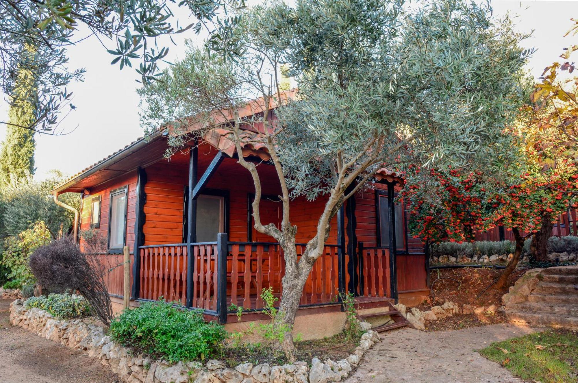Camping Alquézar Εξωτερικό φωτογραφία
