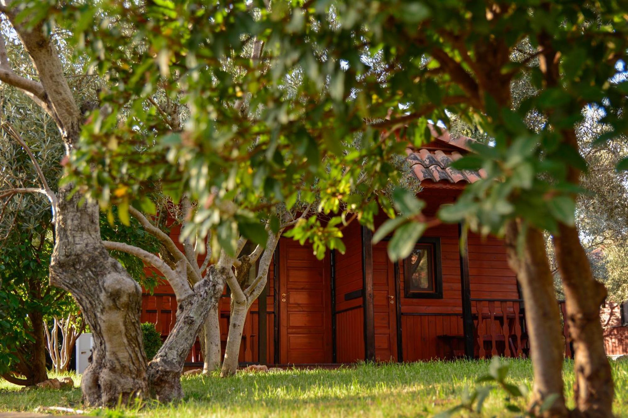 Camping Alquézar Εξωτερικό φωτογραφία
