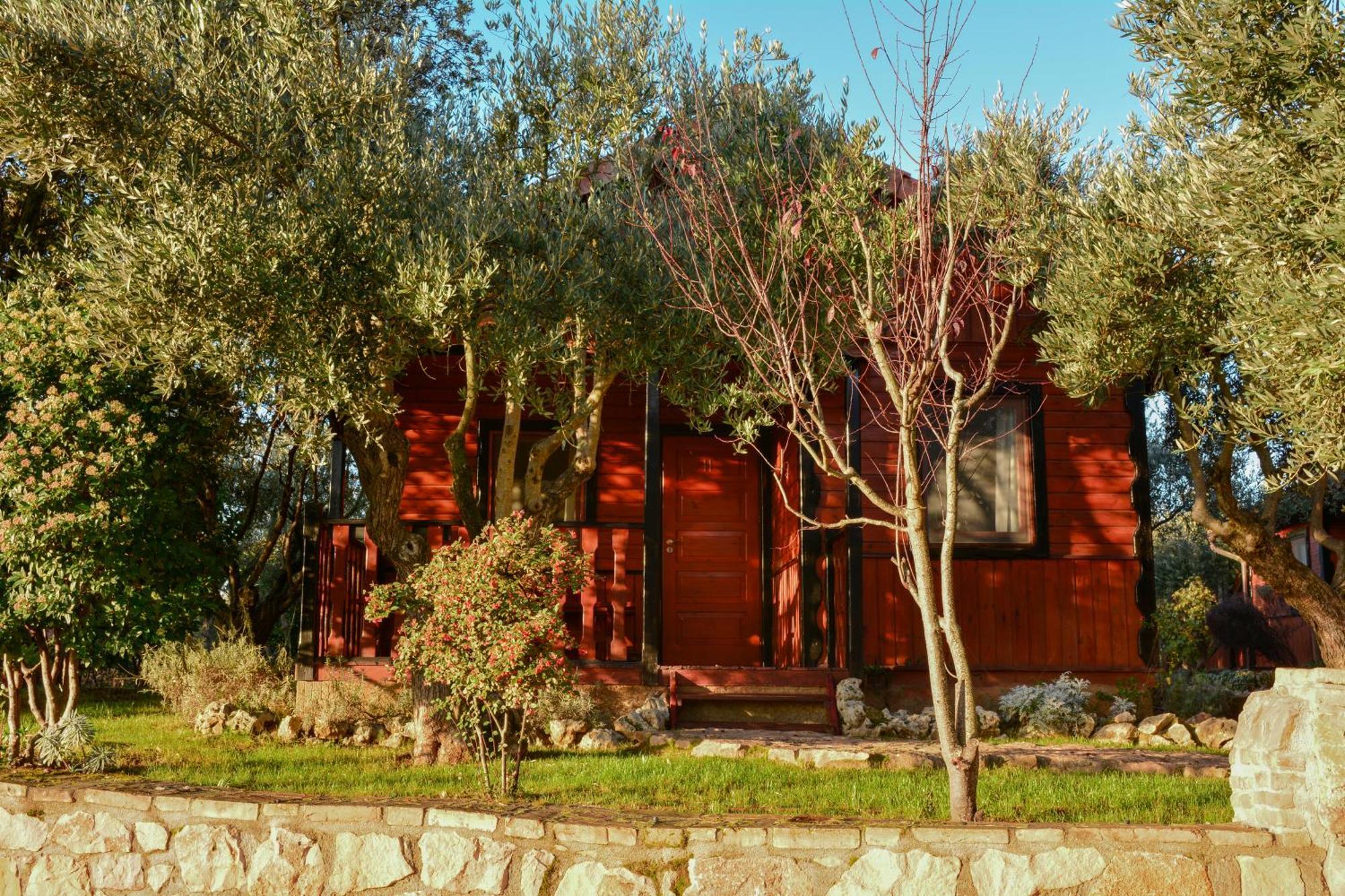 Camping Alquézar Εξωτερικό φωτογραφία